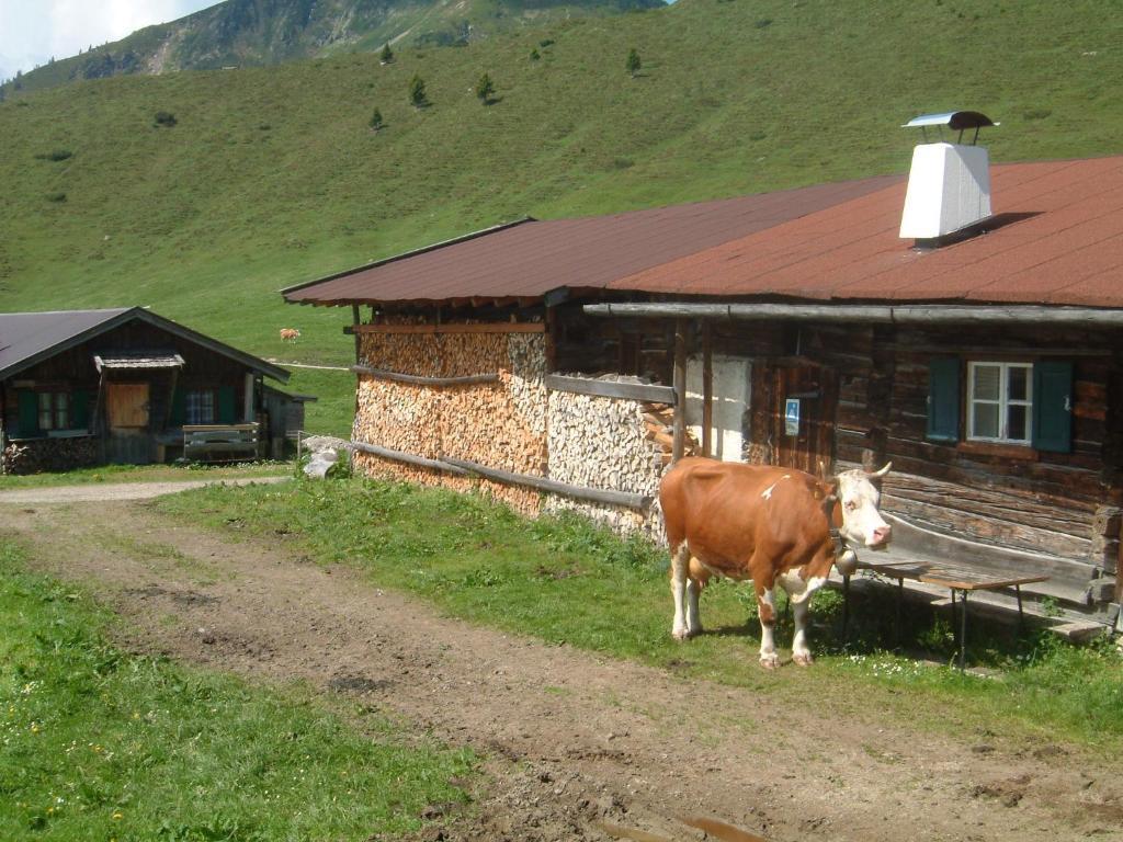 Haus Brugglbach Apartamento Kirchberg in Tirol Exterior foto