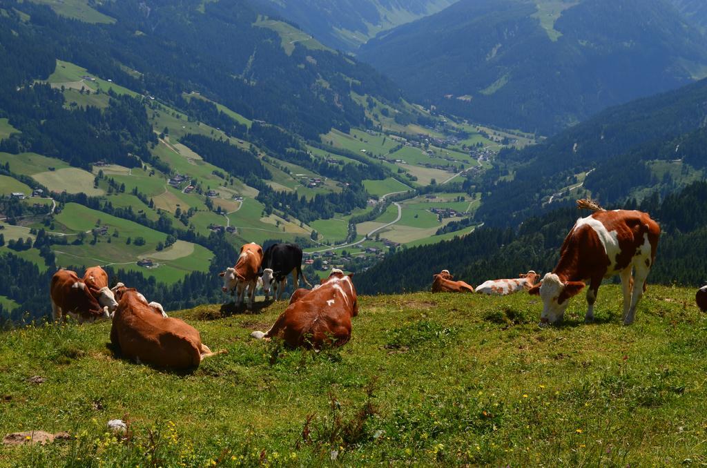 Haus Brugglbach Apartamento Kirchberg in Tirol Exterior foto